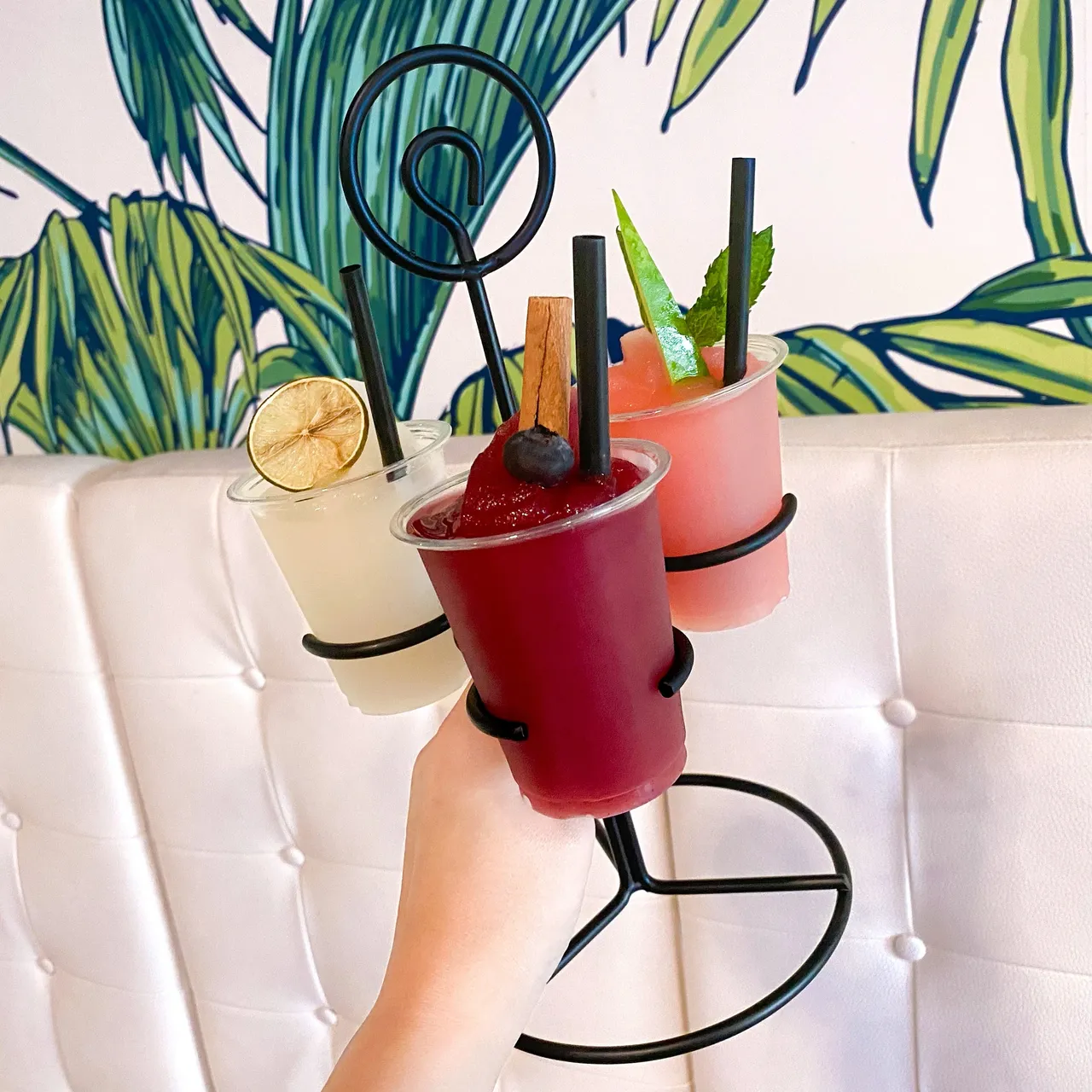Doxie Slush flight